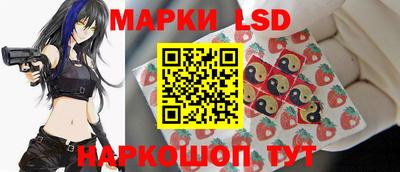 крисы Гатчина