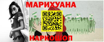 крисы Гатчина