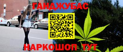крисы Гатчина