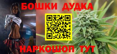 крисы Гатчина