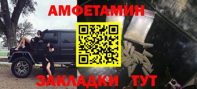 крисы Гатчина