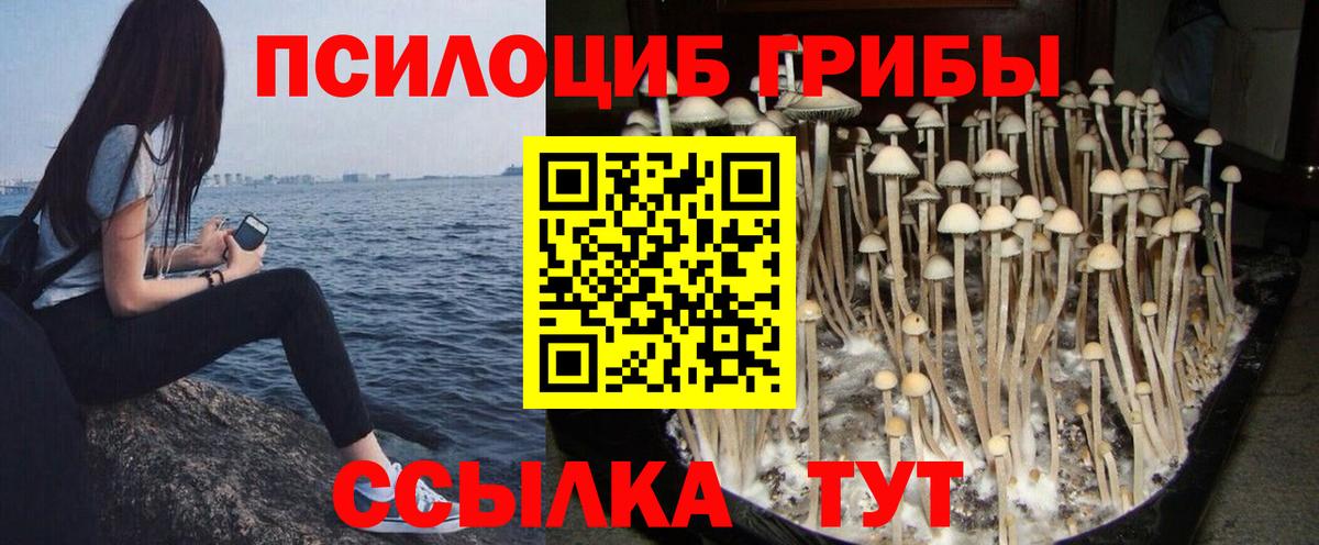 Псилоцибиновые грибы мицелий Ялуторовск